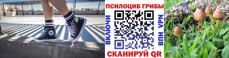 Галлюциногенные грибы Cubensis  Купить где  Котельники 